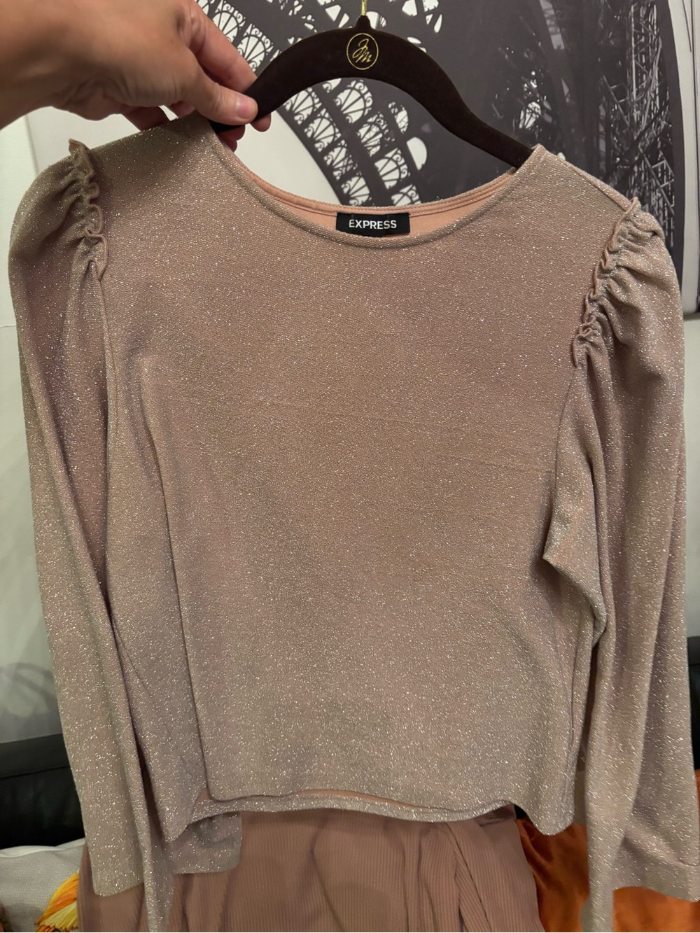 Express Shimmery Light Pink Long Sleeve Puff Shoulder Top